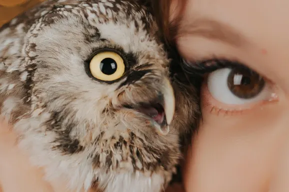 Betitall Casino Tacaíocht